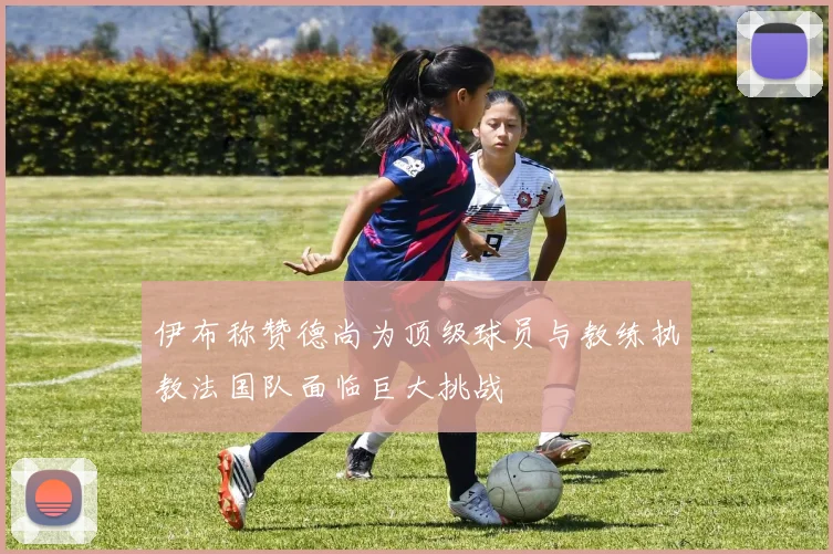 伊布称赞德尚为顶级球员与教练执教法国队面临巨大挑战